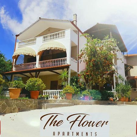 توروني The Flower Apartments المظهر الخارجي الصورة